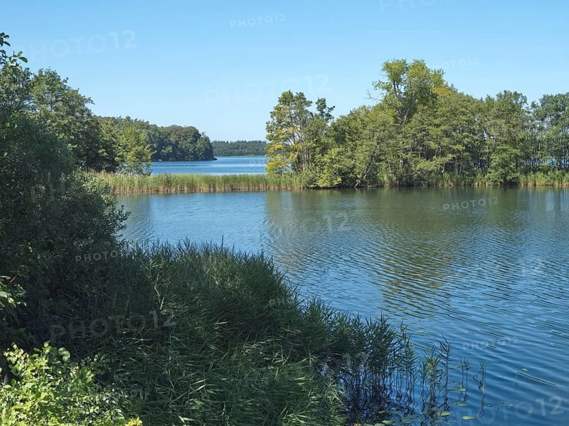 The Schaalsee at the Kampenwerder peninsula in the Schaalsee UNESCO Biosphere Reserve, Stintenburg, Lassahn, Mecklenburg-Western Pomerania, Germany, Europe