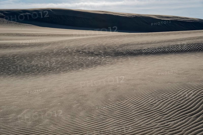 Dune landscape around the Lontz Dune, Wydma Lacka, the largest travelling dune on the Polish Baltic coast. It is located in the Slowinski National Park and is part of the UNESCO Slowinksi Biosphere Reserve. Leba, Pomerania, Poland, Europe