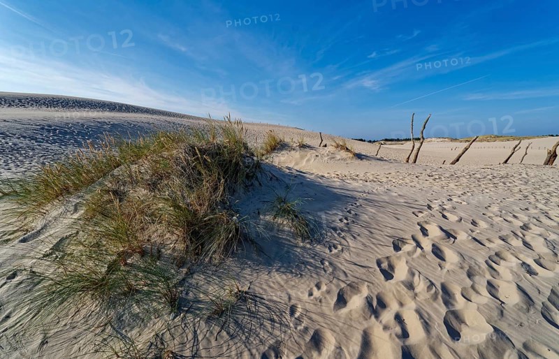 Dune landscape around the Lontz Dune, Wydma Lacka, the largest travelling dune on the Polish Baltic coast. It is located in the Slowinski National Park and is part of the UNESCO Slowinksi Biosphere Reserve. Leba, Pomerania, Poland, Europe