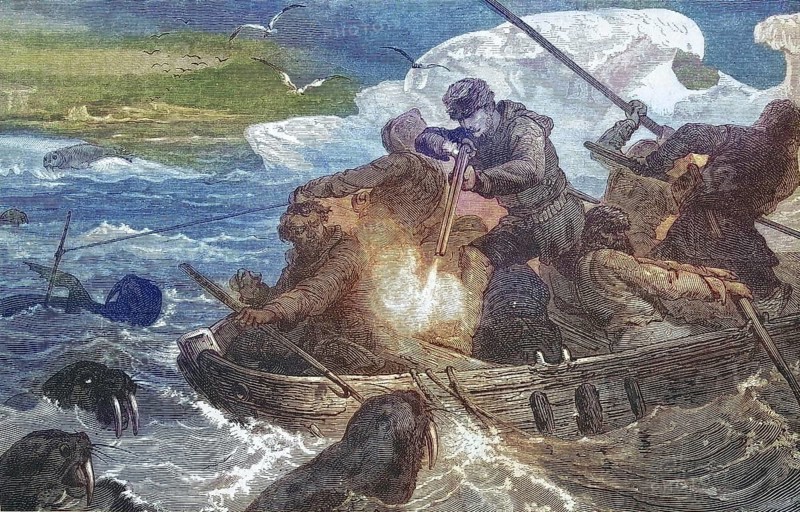 Hunting walruses (Odobenus rosmarus), walrus, walrus hunting in the Arctic Ocean from a boat, 1869, Greenland, Historic, digitally restored reproduction of an original 19th century artwork, exact original date unknown, North America