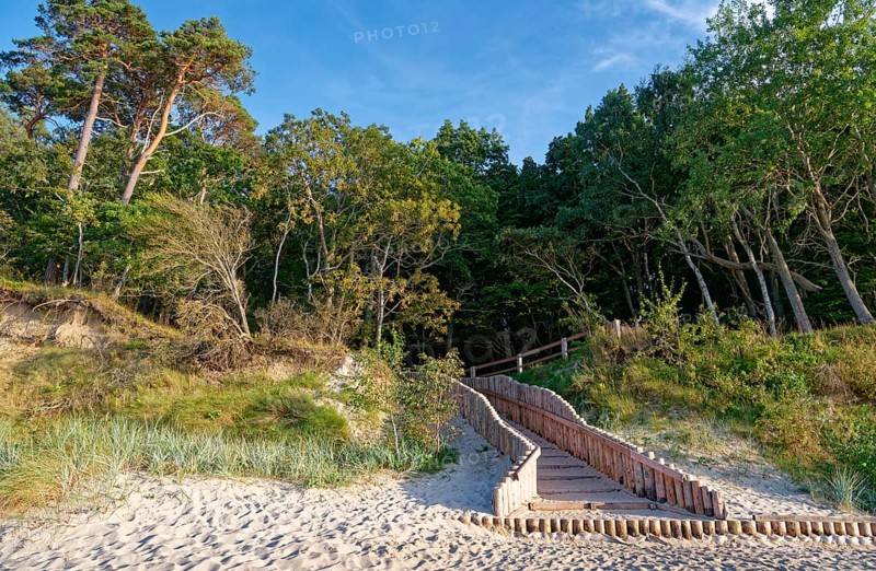 Palisaded path to the sandy beach and the tree-covered coast in the Wolin National Park, also known as Wollin, on the Baltic Sea. Kolczewo, West Pomerania, Poland, Central Europe, Europe