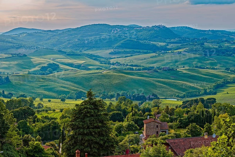 Landscape in the rays of the evening sun near Montepulciano in Tuscany: Montepulciano, Tuscany, Italy, Southern Europe, Europe