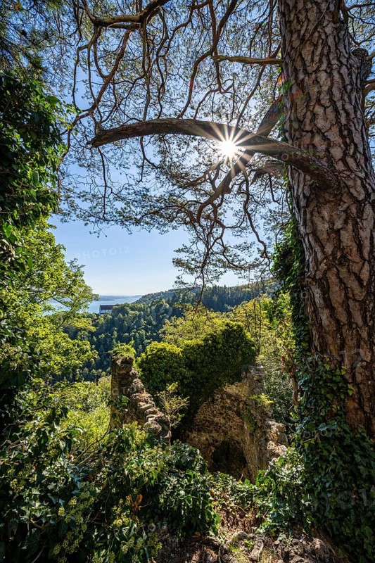 View from the Altbodman castle ruins over the Bodanrück to Lake Constance, Bodman-Ludwigshafen, Constance district, Baden-Württemberg, Germany, Europe