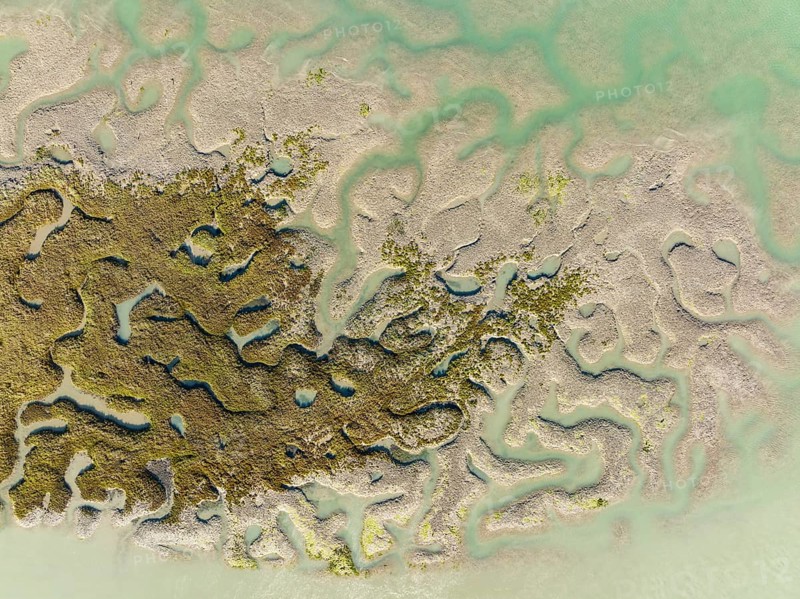 Network of channels and streams at low tide, in the marshland of the Bahía de Cádiz, aerial view, drone shot, Cádiz province, Andalusia, Spain, Europe