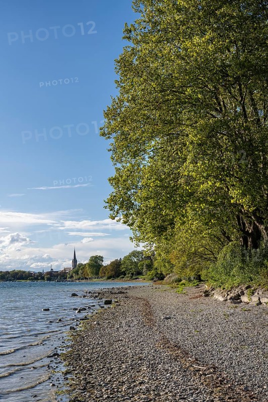 Gravel beach on the shore of Lake Constance near Radolfzell, Constance district, Baden-Württemberg, Germany, Europe