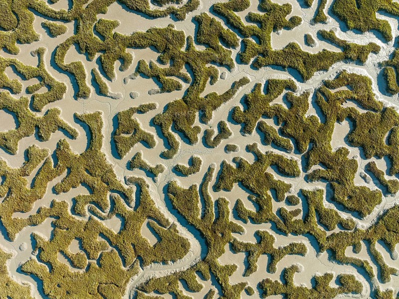 Network of dry channels and streams at low tide, in the marshland of the Bahía de Cádiz, aerial view, drone shot, Cádiz province, Andalusia, Spain, Europe