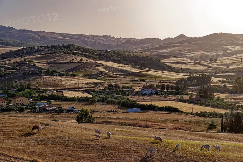 Landscape near the Sicilian village of Sperlinga near Nicosia. Sicily, Italy, Southern Europe, Europe
