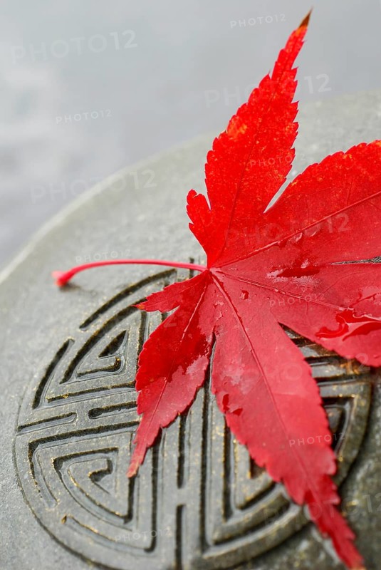 Japanese Maple leaf and Japanese emblem in stone, esotericism, symbol Japanese maple, leaf, and Japanese stone sign, sign in stone, esotericism, symbol