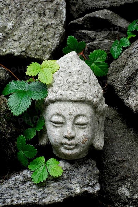 Buddha head