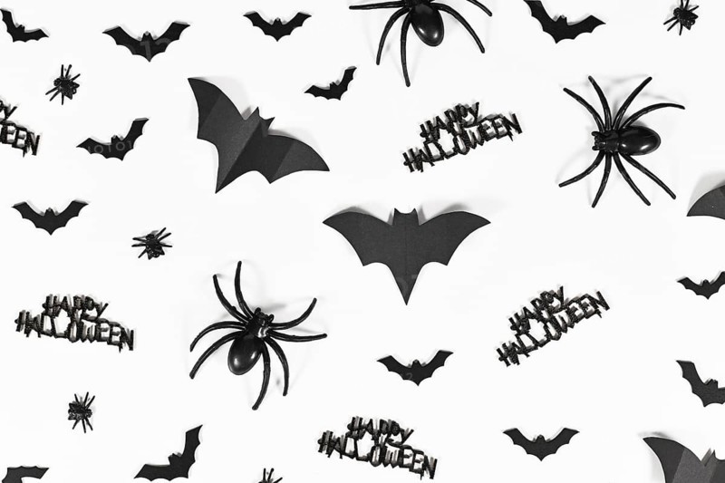 Black Halloween bats, spiders, flies and Happy Halloween text on white background