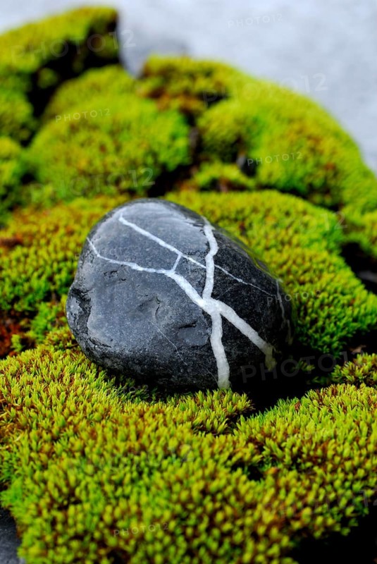 Stone on moss