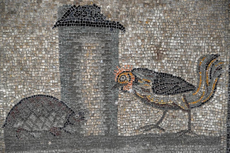 Early Christian floor mosaic from the 4th century, Basilica Santa Maria Assunta, Unesco World Heritage Site, Aquileia, Friuli Venezia Giulia Region, Italy, Europe