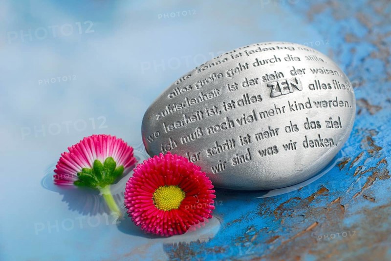 Poetry stone with ZEN text and daisies, daisies, poetry