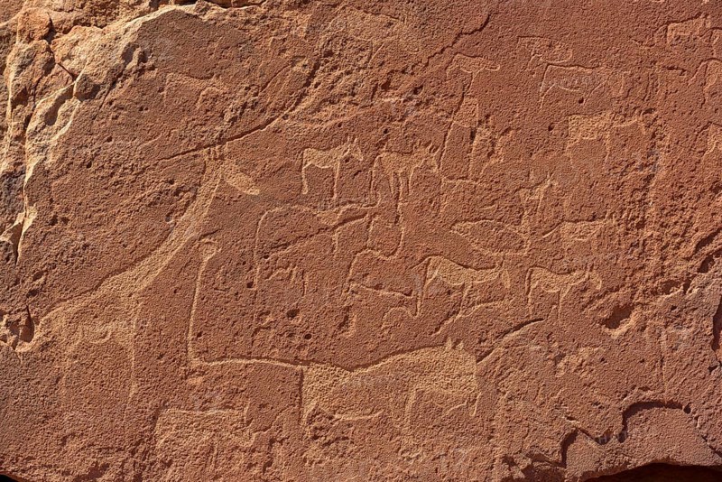 Neolithic rock engravings with different animals, Twyfelfontein, region Kunene, Namibia, Africa