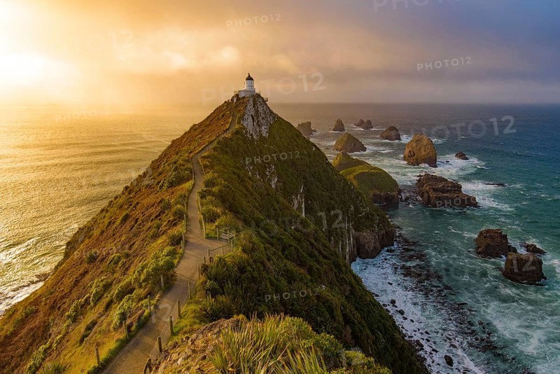 Nugget Point and lighthouse with sunrise at South Island, New Zealand, Oceania