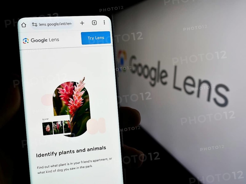 Stuttgart, Germany, 09-23-2023: Person holding smartphone with webpage of image recognition app Google Lens on screen in front of logo. Focus on center of phone display, Europe