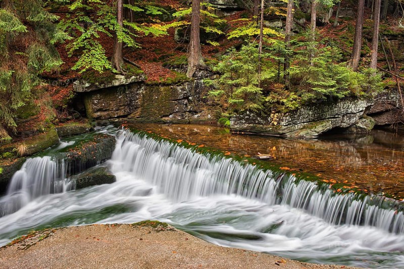 Water cascade on szklarka stream in autumn forest of Karkonoski National Park, Karkonosze Mountains, Lower Silesia, Poland, Europe