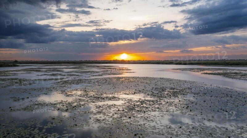 Danube Delta Sunset
