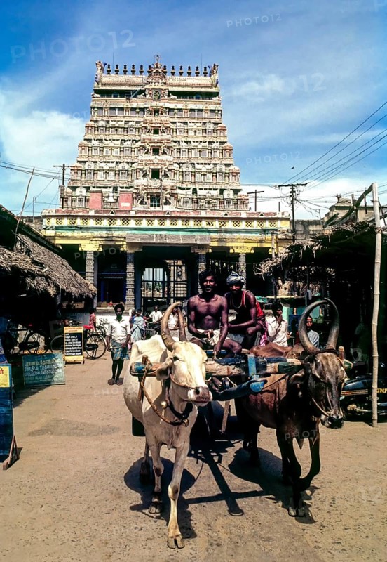 Eastern side Rajagopuram tower of Thillai Nataraja temple in Chidambaram, Tamil Nadu, South India, India, Asia