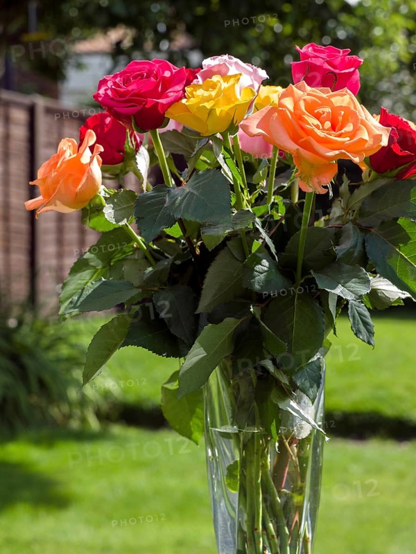 A vase of colourful Roses out in the garden