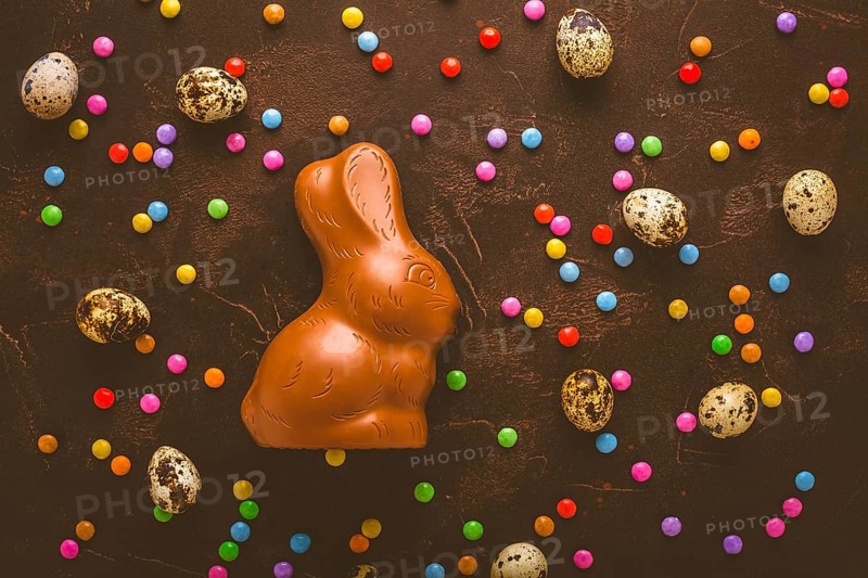Delicious chocolate easter eggs, bunny and sweets on dark brown background