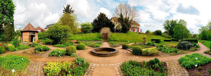 Medicinal plant garden, Celle, Lower Saxony, Germany, Europe