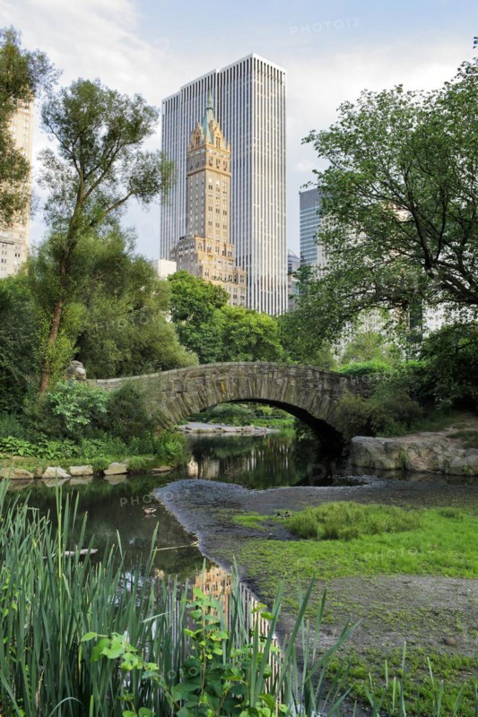 Gapstow bridge in Central Park. Central Park is a public park at the center of Manhattan, New York City, USA, North America