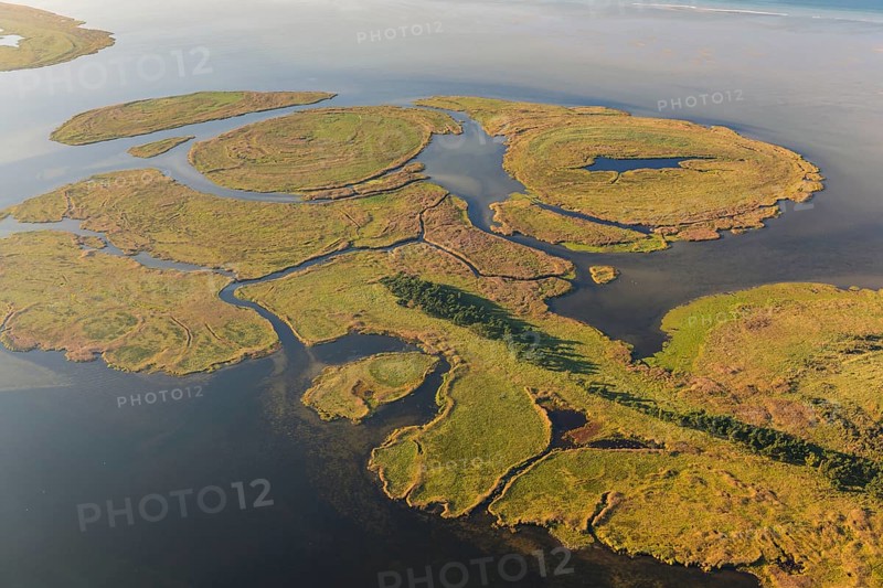 Small Werder Islands, Fischland-Darss-Zingst, National Park Vorpommersche Boddenlandschaft, Baltic Sea coast, Mecklenburg-Vorpommern, Germany, Europe