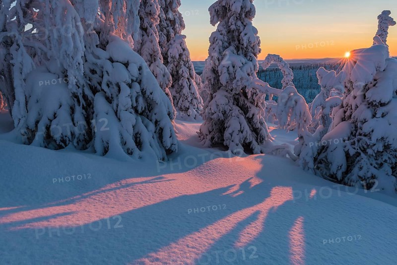 Winter landscape, Stubba Nature Reserve, Laponia World Heritage Site, Norrbotten, Lapland, Sweden, December 2014, Europe