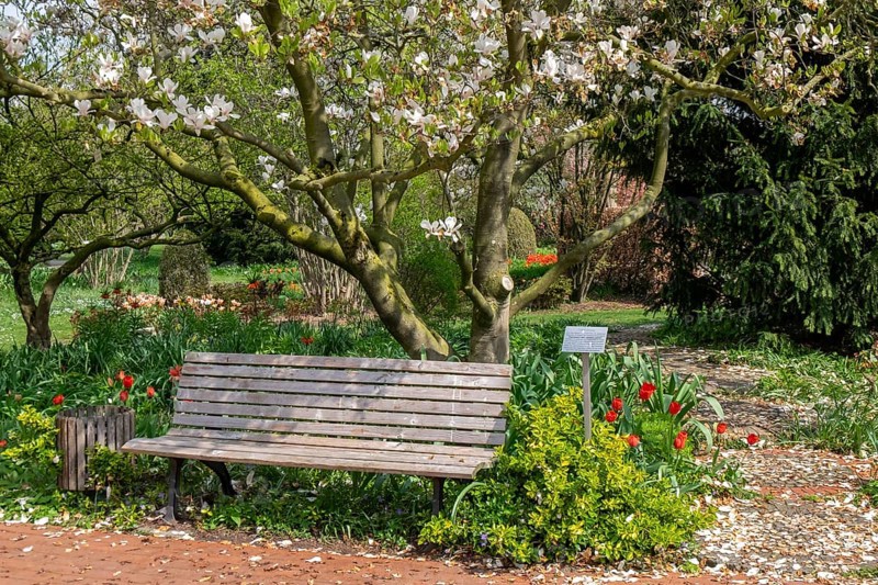Spring in the District Teaching Garden