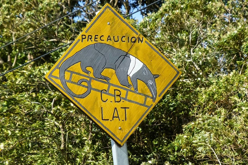 Roadsign precaution coatis