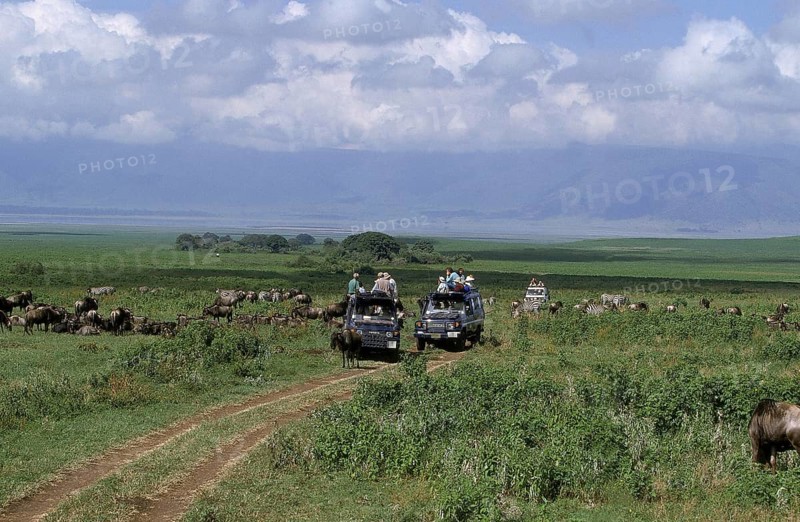 Tourists in Safari Vehicule, Tanzania, Africa
