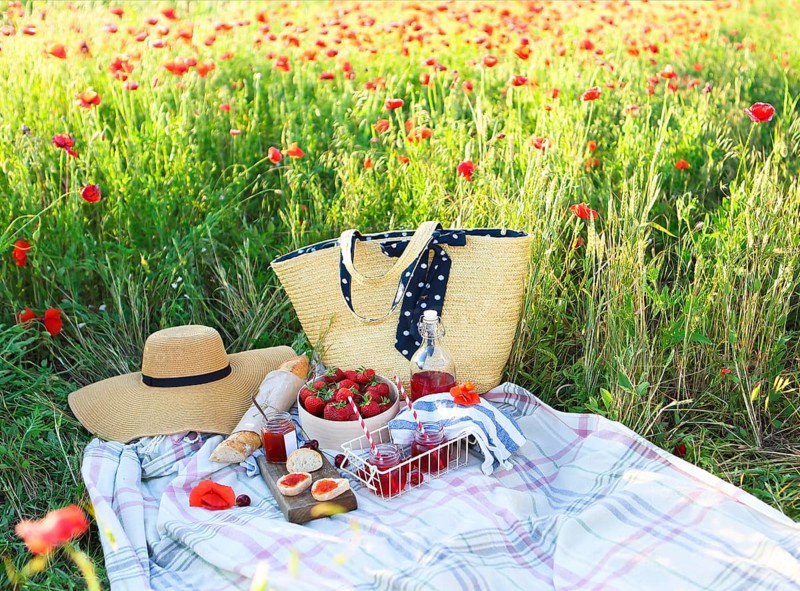Basket, sandwiches, plaid and juice in a poppy field. Vintage tender background. Romance, love, date