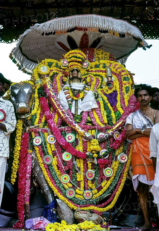 Lord Kumbeswara with goddess Mangalambigai in decorated Rishaba Vahanam places in the bank of the Mahamakam Mahamaham Mahamagam tank in Kumbakonam, Tamil Nadu, India, Asia