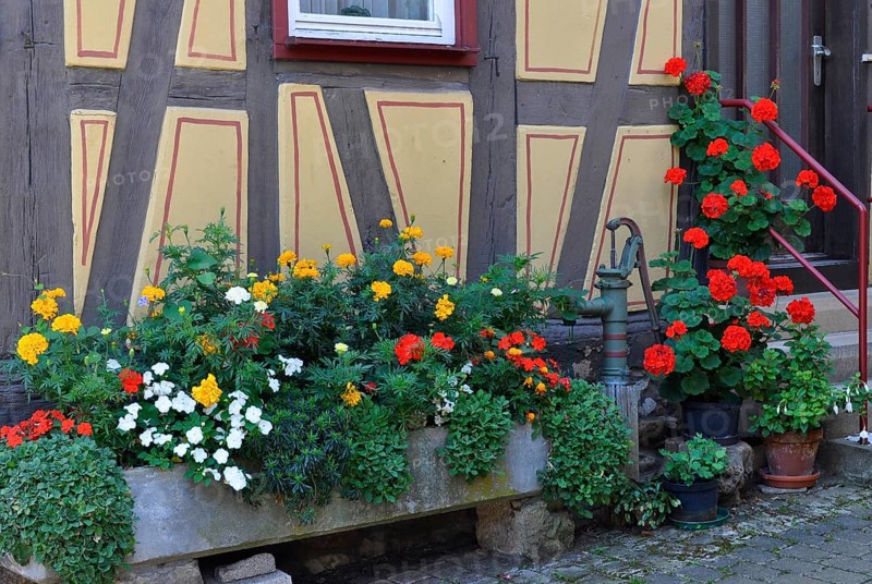 Fountain with summer flowers at the half-timbered house
