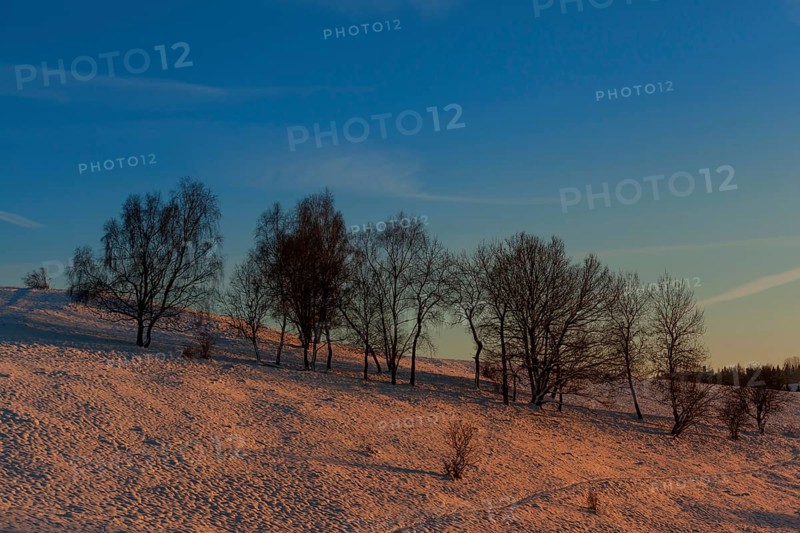 Evening red light in the Harz Mountains