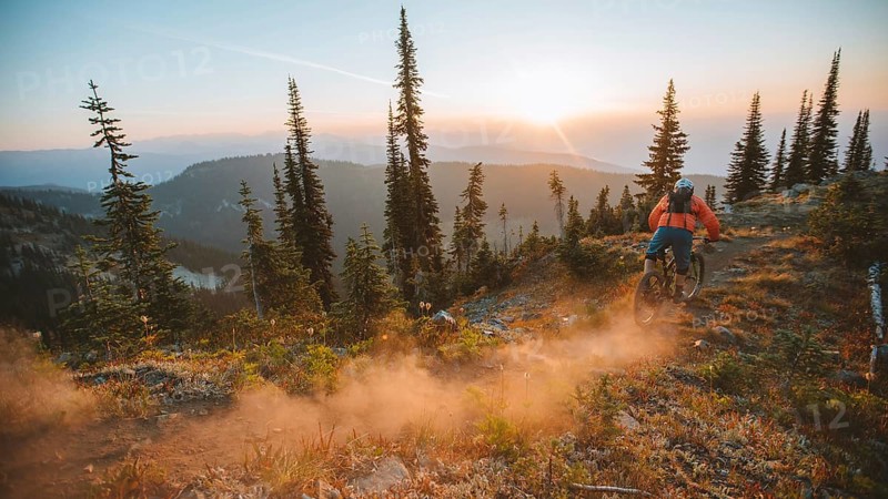 Mountain biker descending a forest trail at sunset, surrounded by trees and raising dust, Baldy Mountain, Nelson, BC, Canada, North America