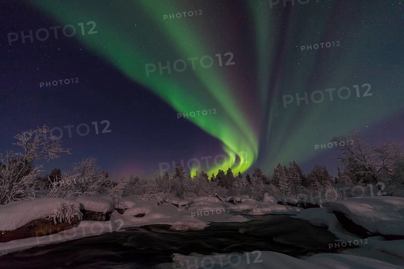 Northern Lights (Aurora borealis) over a moonlit winter landscape, Norrbotten, Lapland, Sweden, January 2017, Europe