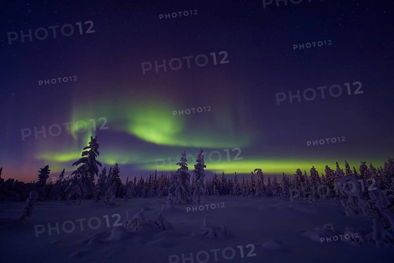 Northern Lights (Aurora borealis), Stubba Nature Reserve, Laponia World Heritage Site, Norrbotten, Lapland, Sweden, December 2014, Europe