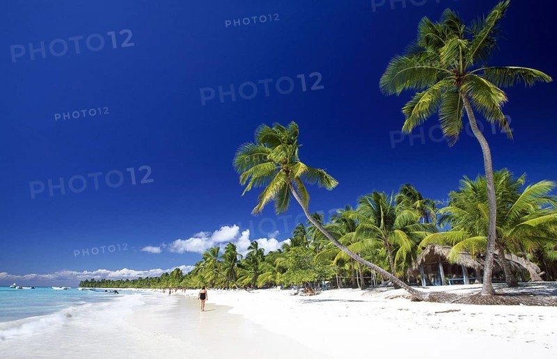 Palm Beach, National Park, Saona Island, Parque Nacional del Este, Dominican Republic, Central America