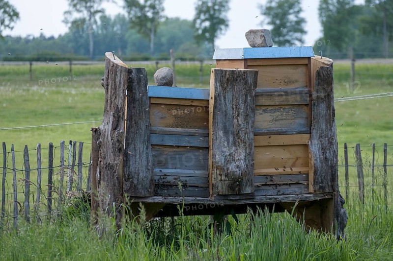 Beehives