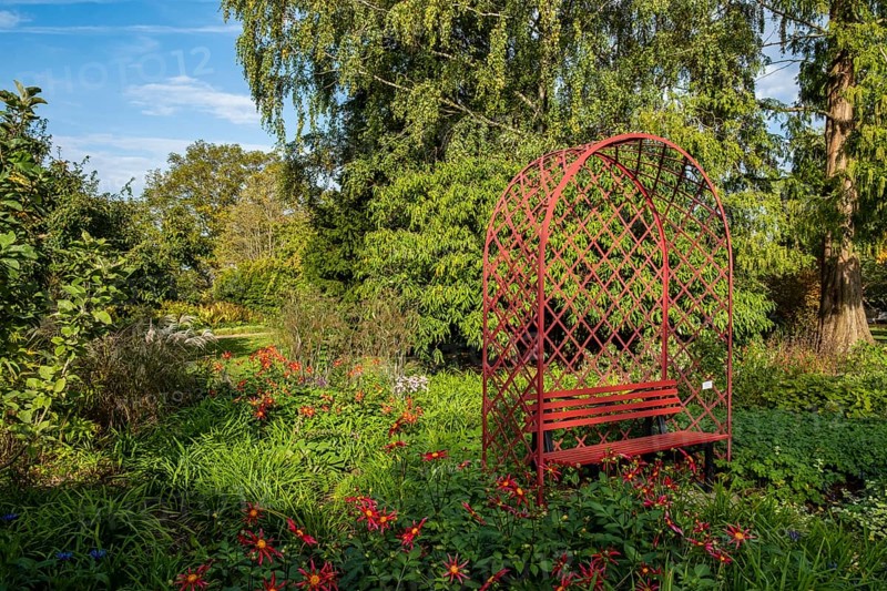 Red bench in the district educational garden, Burgsteinfurt, Münsterland, North Rhine-Westphalia, Germany, Europe