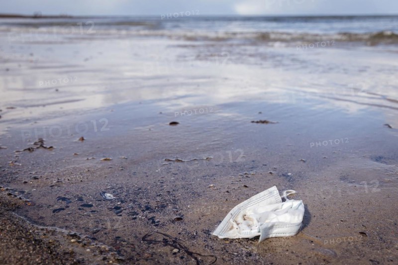 Discarded face mask on the beach Baltic Sea