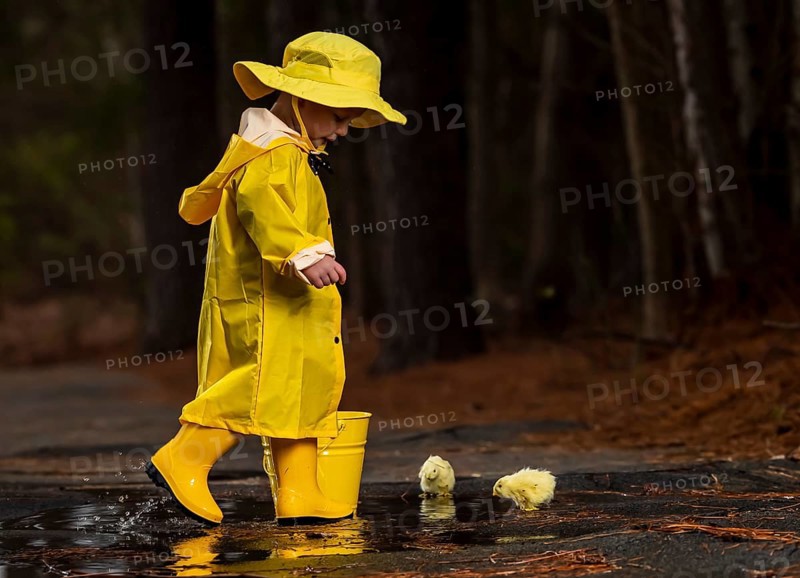 A small child plays in the rain while little chicks try to get a drink of water