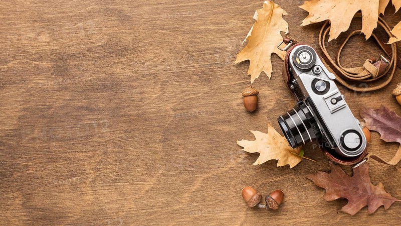Top view camera with autumn leaves copy space. Beautiful photo
