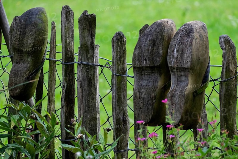 Old clogs on a garden fence