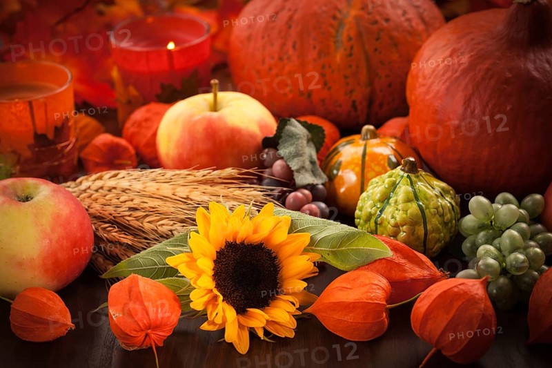 Still life for Thanksgiving
