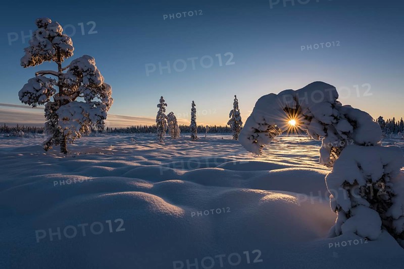 Winter landscape, Muddus National Park, Laponia World Heritage Site, Norrbotten, Lapland, Sweden, November 2015, Europe