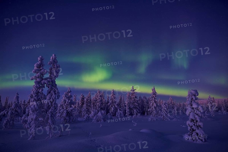 Northern Lights (Aurora borealis), Stubba Nature Reserve, Laponia World Heritage Site, Norrbotten, Lapland, Sweden, December 2014, Europe