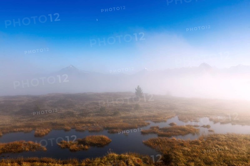 Rising fog at Filzenlacke peat bog, Filzenlacke, Zillertal, Schwendau, Tyrol, Austria, Europe